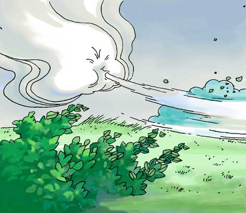 �� Ȼ �� ��